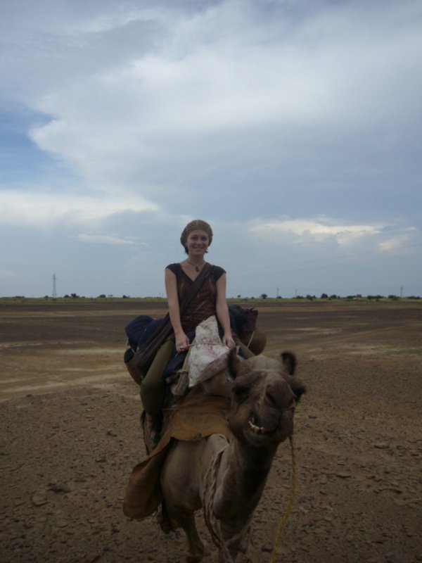 Travel - India - Rajasthan - Desert Camel Trip - Camel Safari